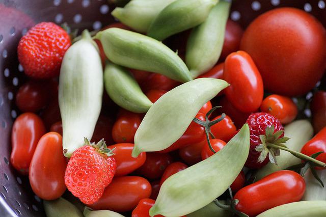 úroda ovoce a zeleniny